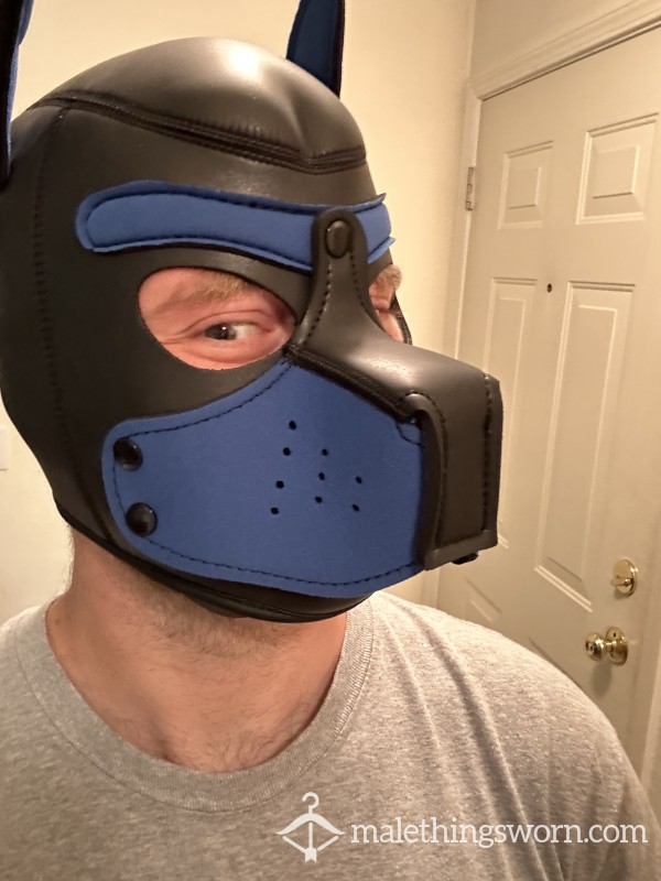 Pup Hood Pics