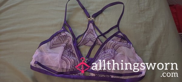 Purple Mesh Bra