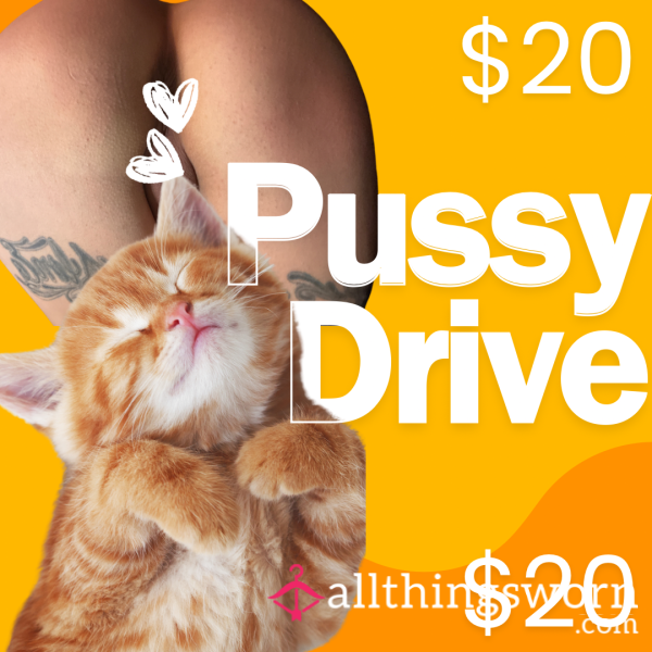 🐈 Pu**y Drive 🐈