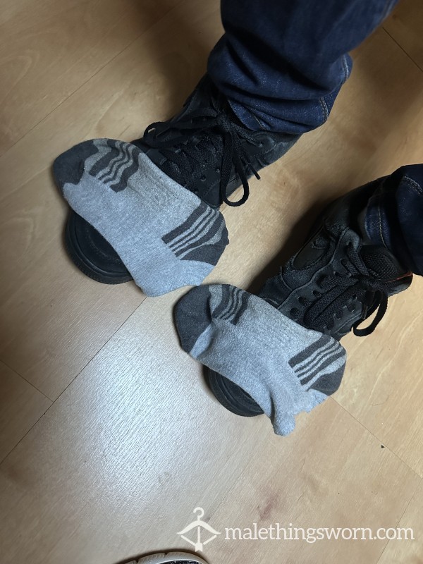 Rank Grey Trainer Socks