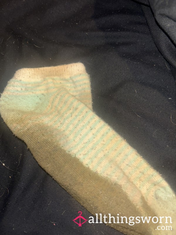 Really Dirty Socks!