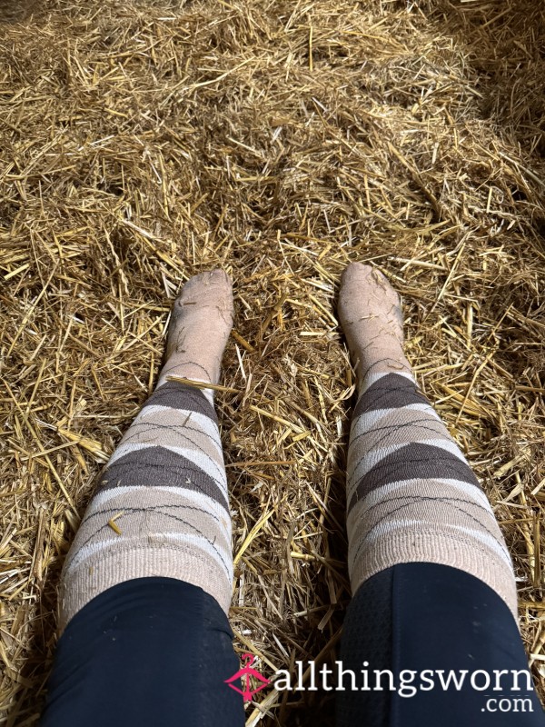 Resting In The Straw