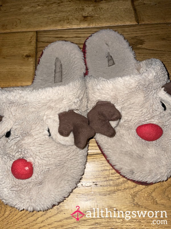 Trashed Rudolf Slippers With Photo Set