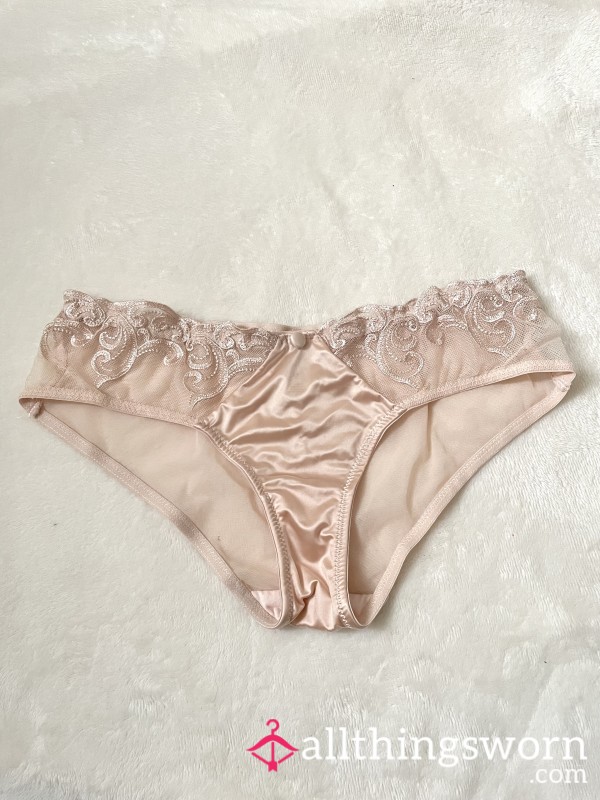 Satin Blush Pink Lace Mesh Brief Panties