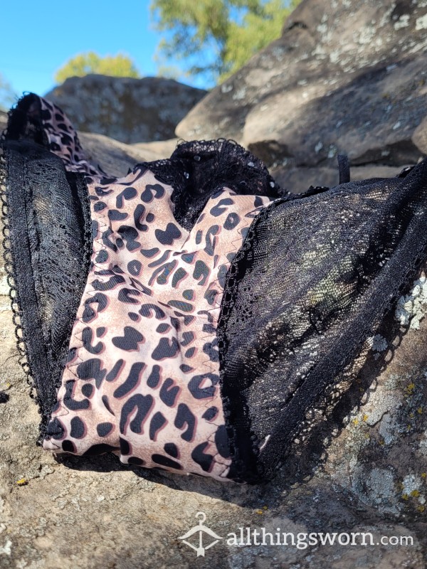 Schedule A Wear With These S**y Leopard And Lace Panties