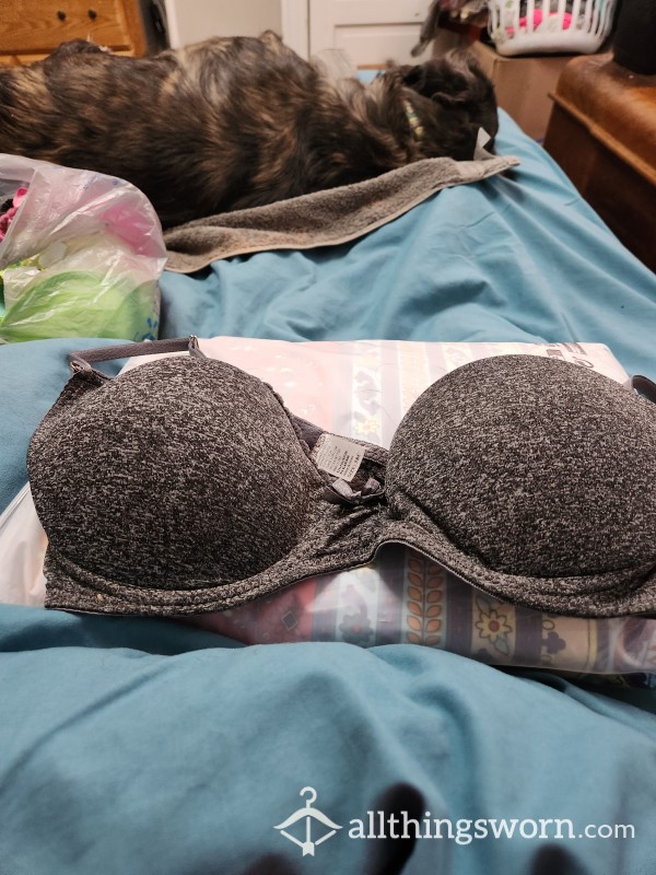 S**y Bra With Little Grey Bow