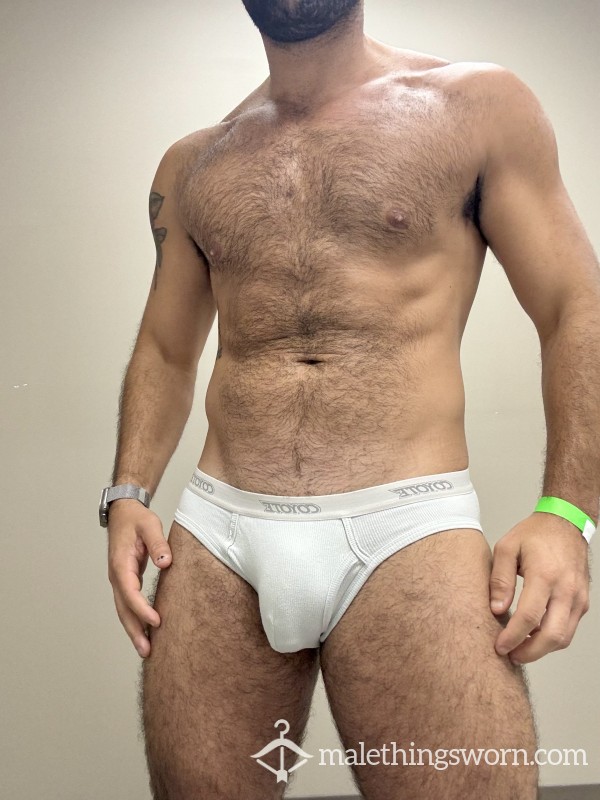 S**y Coyote Brief