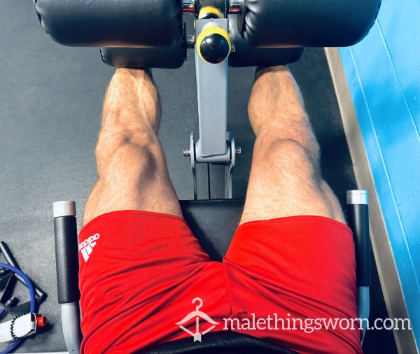 S**Y Red Workout ADIDAS Shorts