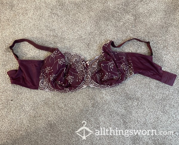 S**y, Sheer Maroon Lace Bra🍒