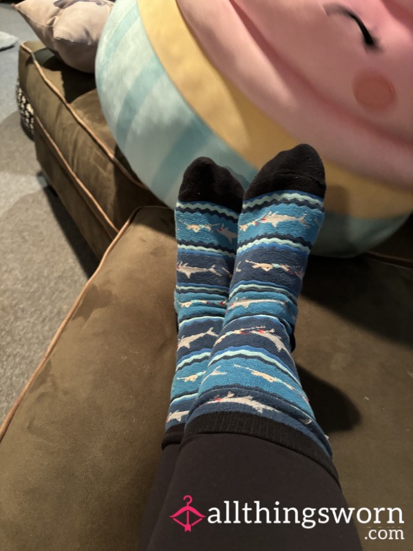 Cozy Shark Print Mid Calf Socks