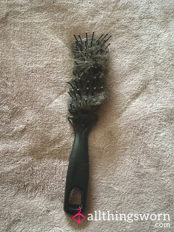 Shower Hairbrush