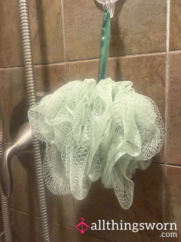 Shower Loofah Used For 5 Months