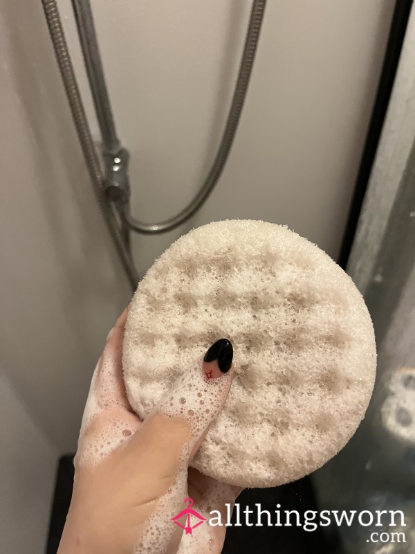 Shower Sponge