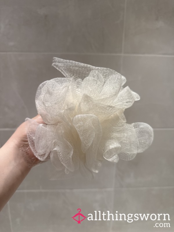 Shower Sponge 🧽