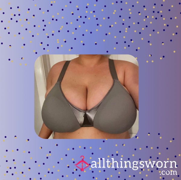 Silver/Gray Bra 42DDD