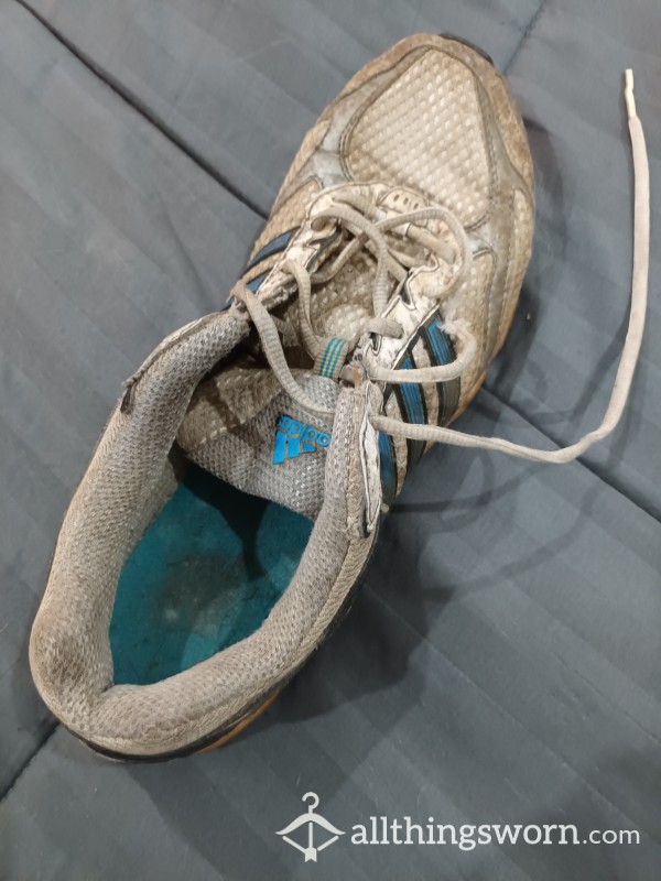 Single Well Worn Sneaker