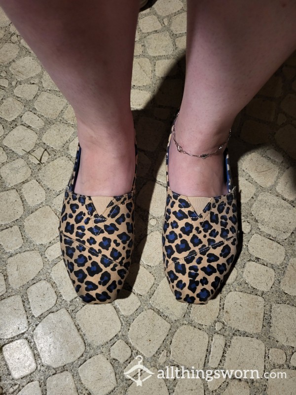 Size 10 Blue Cheetah Toms - 1 Save