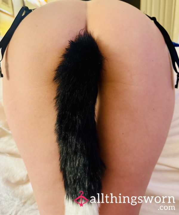 Skunk Tail