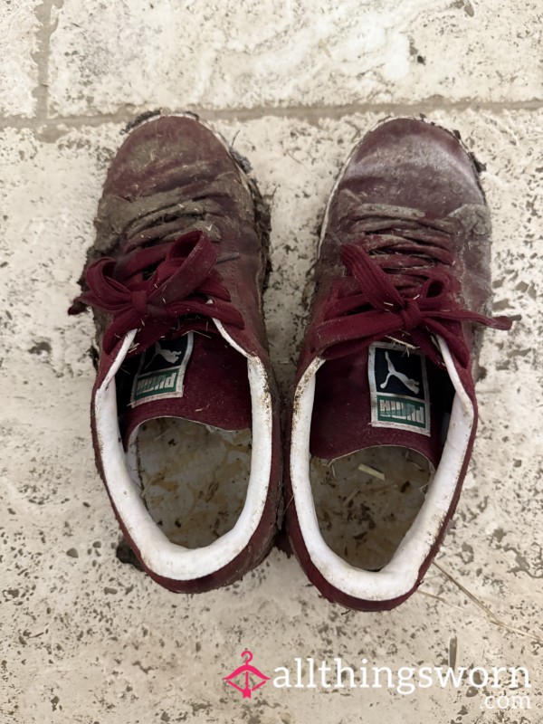 Smelly Dirty Trainers