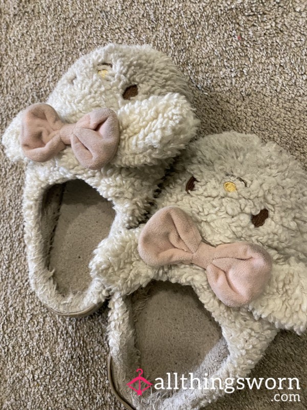 Smelly Old Bunny Slippers