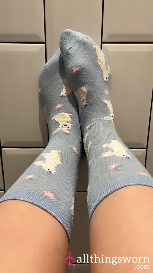 Smelly Socks