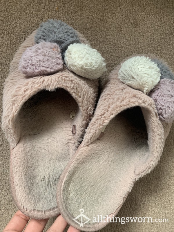 Smelly Well Worn Slippers