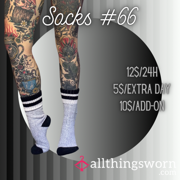 Socks #66