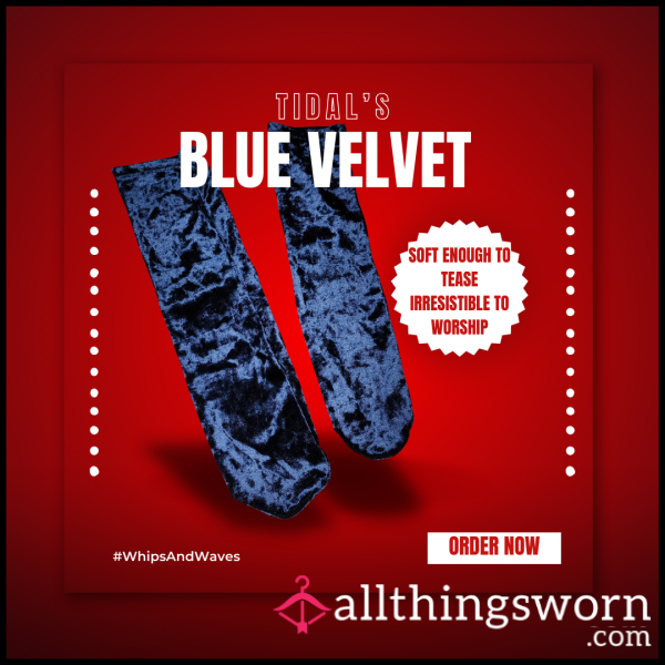 Socks:: Blue Velvet