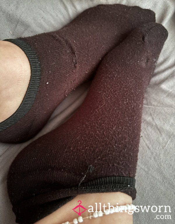 Socks, Worn All Day!