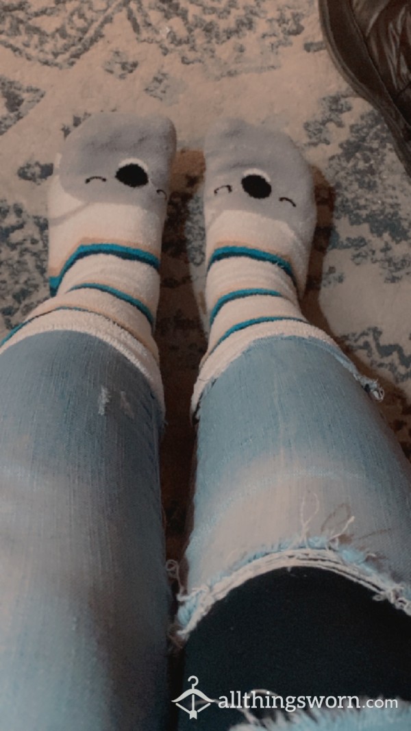 Soft Koala Bear Socks