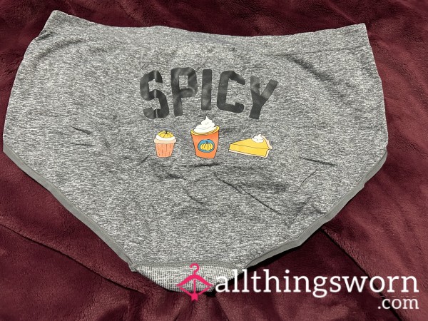 ~SPICY FALL THEME HEATHER GREY SEAMLESS HIPSTER PANTY~