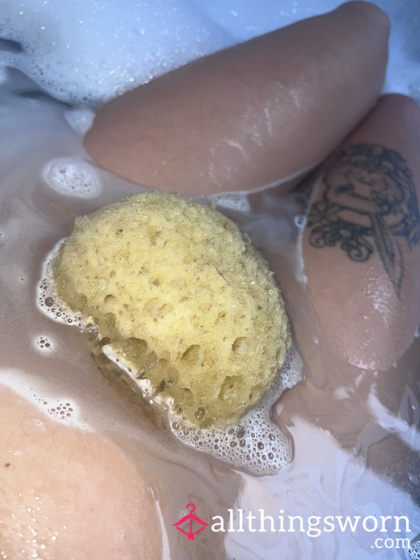 Sponge