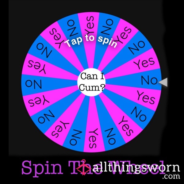 SSBBW Spin The Wheel - Can I C*m?