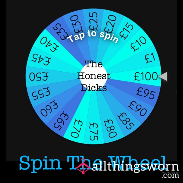 SSBBW Spin The Wheel - Honest D*cks