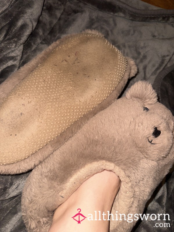 Stinking Worn Out Bear Slippers