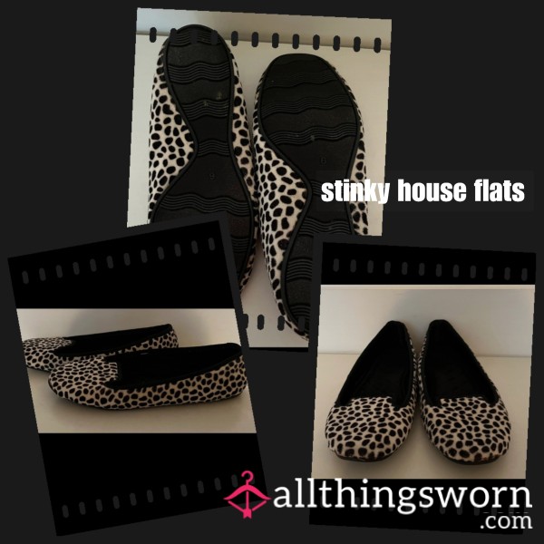 Stinky Ballet House Flats/slippers