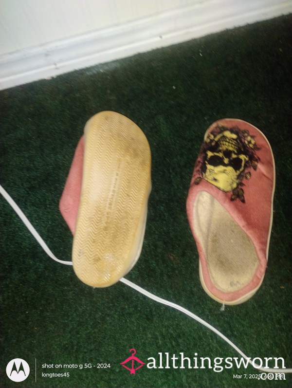 Stinky Old Slippers