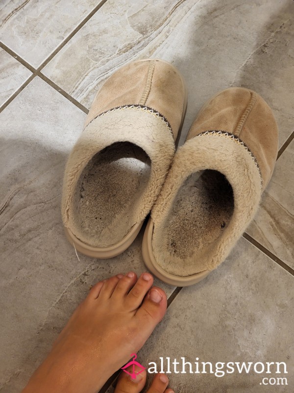 Stinky Slippers Worn Daily For Over A Year Barefoot