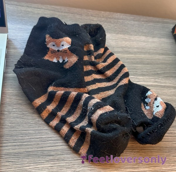 Striped Fox Socks