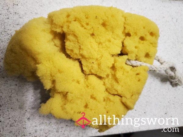 🧼🧽Super Old Falling Apart Shower Sponge🧽🧼