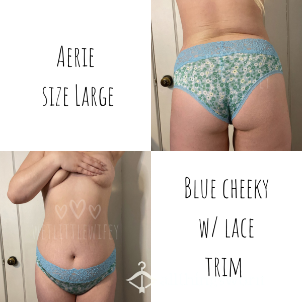 Super Soft Blue Flor*l Aerie Cheeky With Soft Lace Trim