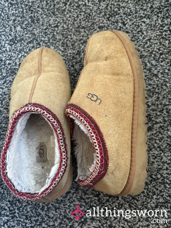 Super Sweaty Ugg Tazmans Size 8