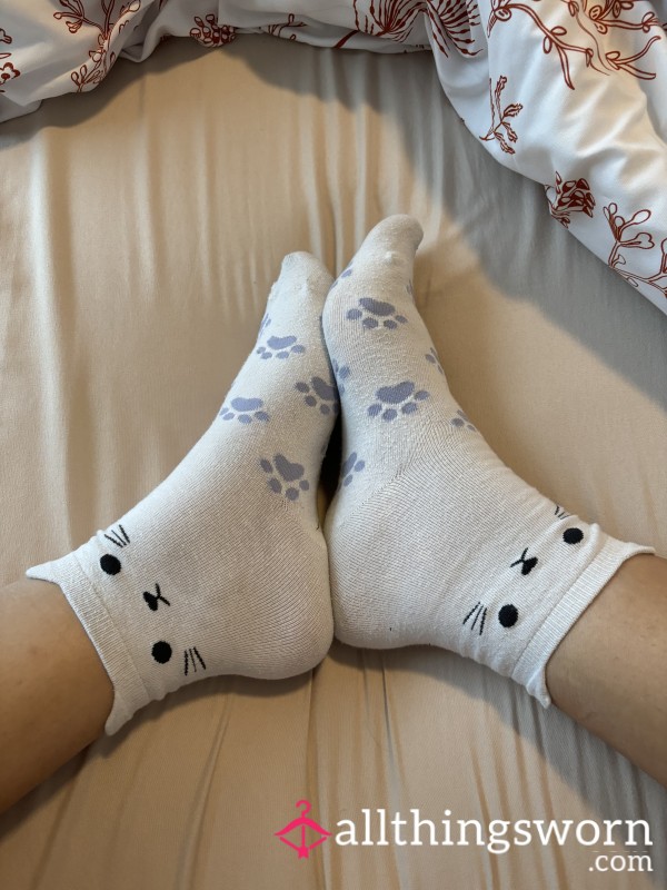 Sweaty Cat Socks 🐱