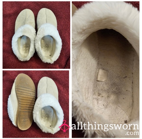 Sweaty Old Slippers - 2 Months Wear