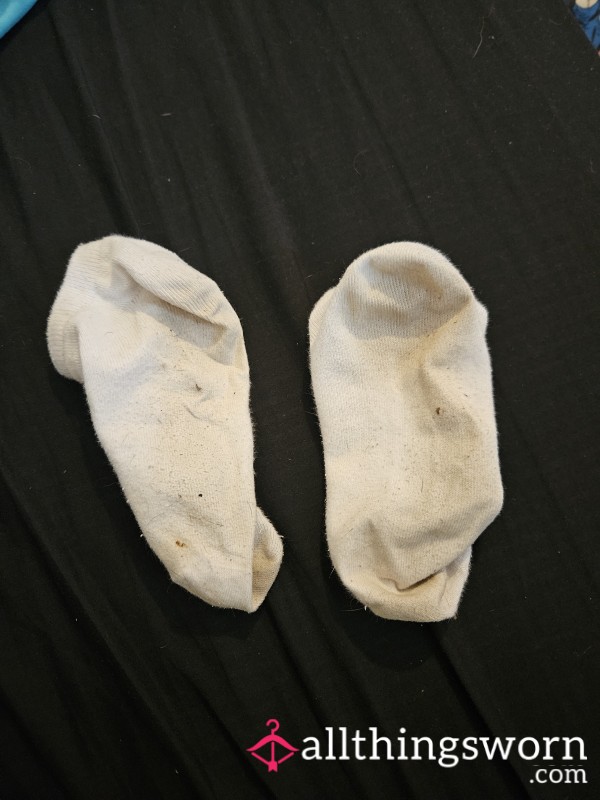 Extra Stinky Socks Worn For 24h And Hour Dog Walk