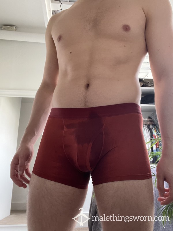 Sweaty Spandex Workout Boxers