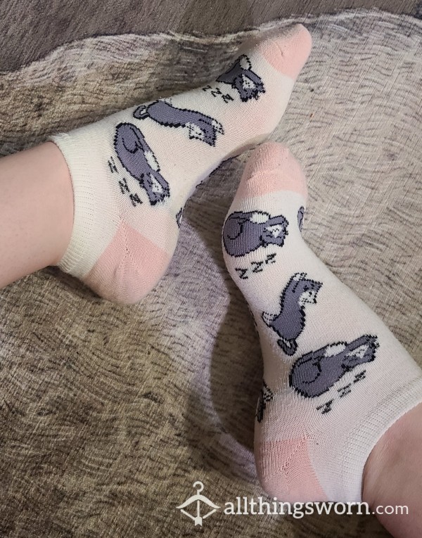 Sweet, S**y, Sleepy Kitty Ankle Socks.