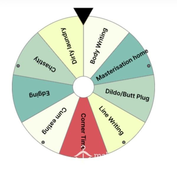 NEW IMPROVED Task Master Wheel Of Fortune