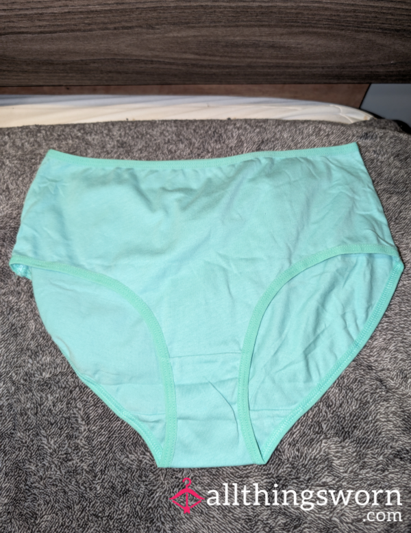 Teal Brief Panties