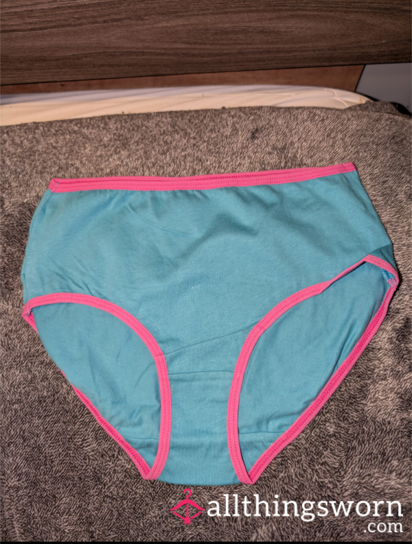 Teal Brief Panties